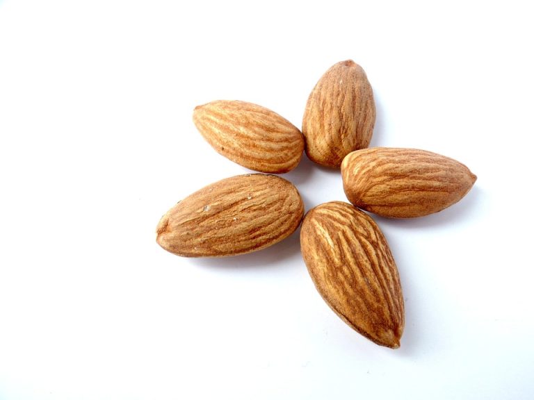 almond-1569246_960_720.jpg