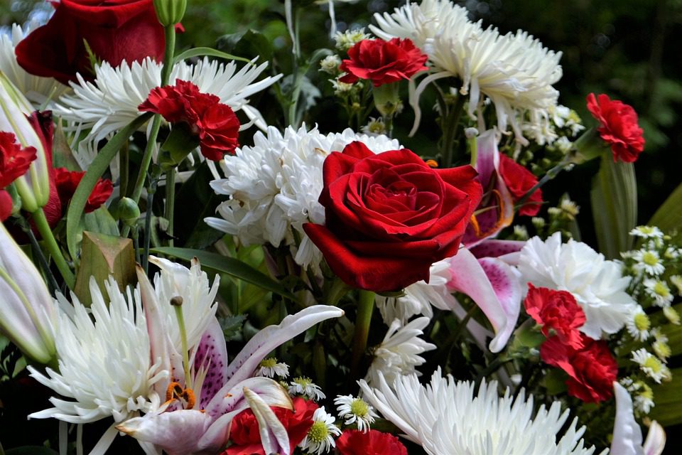 flower-3285506_960_720.jpg