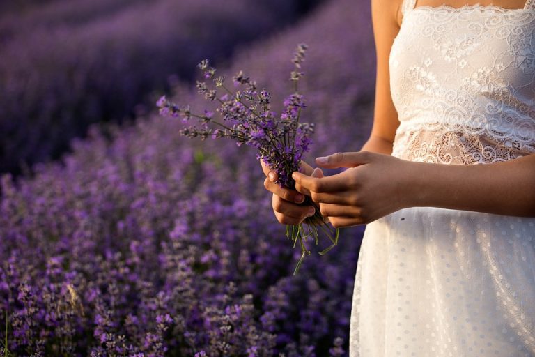 lavender-3576132_960_720.jpg