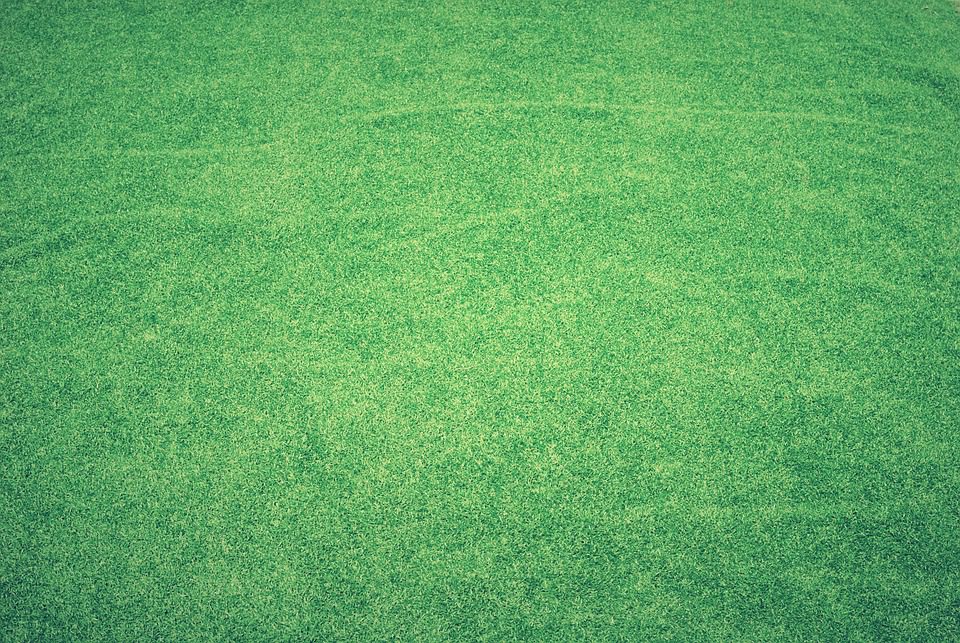 lawn-1846813_960_720.jpg