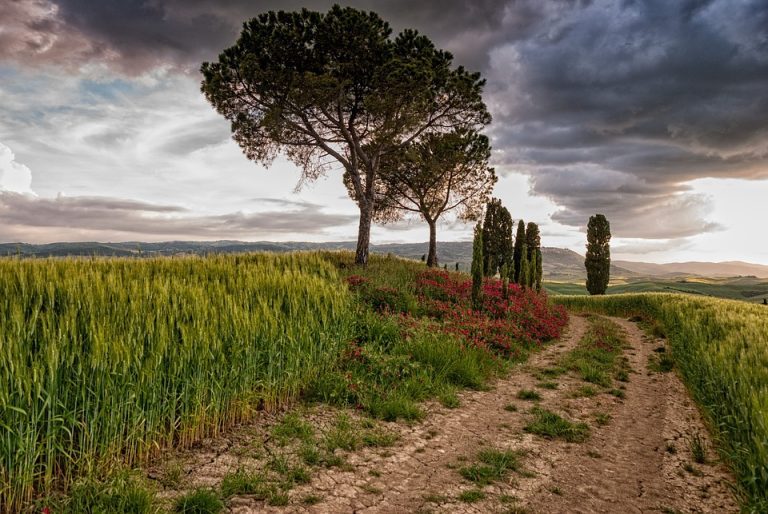 Exploring the Impact of Social Media on Modern Relationships