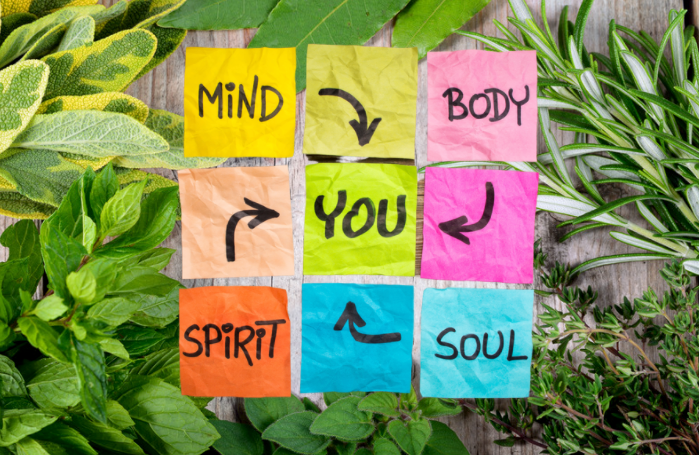 Holistic Wellness Practices for a Healthier Lifestyle