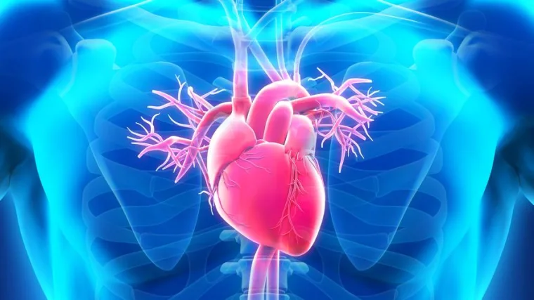 Impact of Rising Heart-Related Deaths