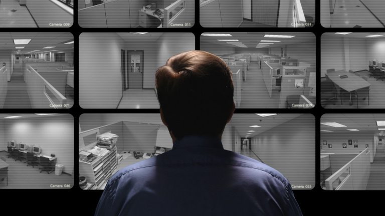 Inside the High-Tech Surveillance: How Walmart Ensures Accuracy and Deters Theft at Self-Checkout