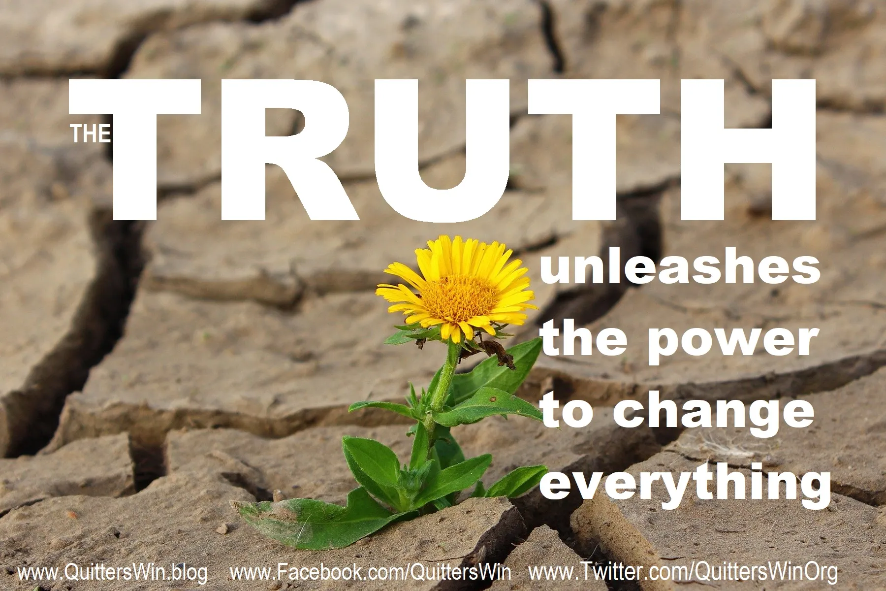 Unleashing the Power of Truth