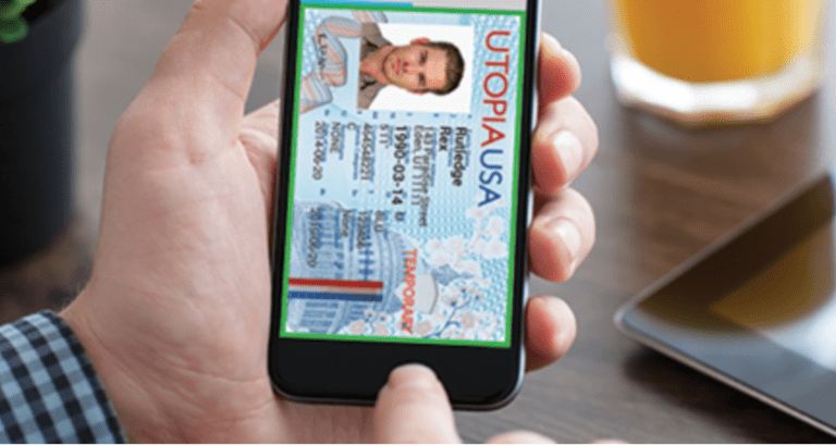 Digital IDs: Big Brother’s Next Fashion Trend