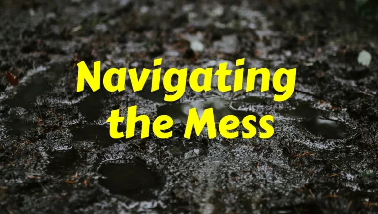Navigating the Mess