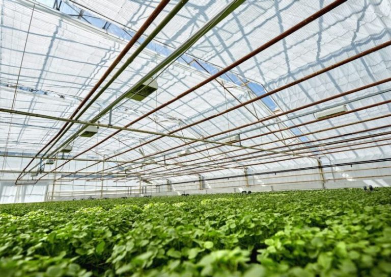 Klostergaarden Denmark