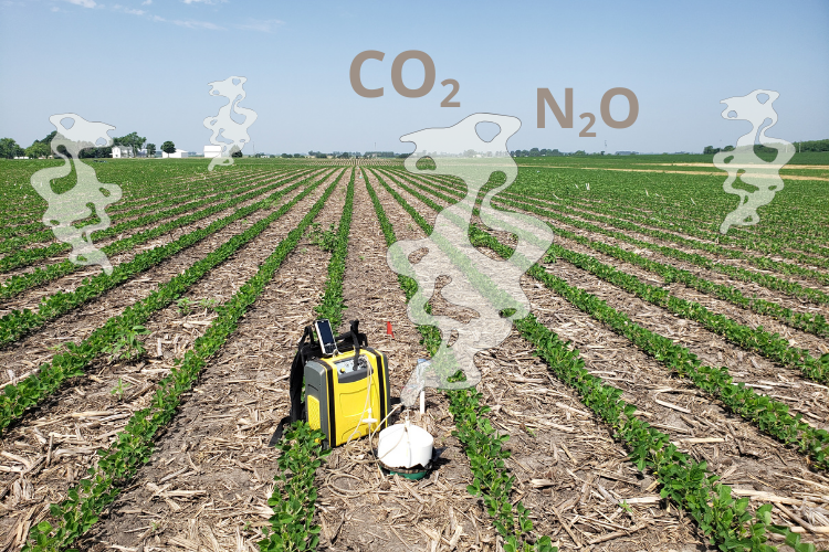 The CO₂ Conspiracy: How Carbon Dioxide and Greenhouse Farming Can Save Global Food Security