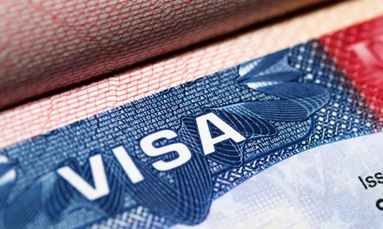 The U.S. Visa Dilemma: H-1B vs. L-1