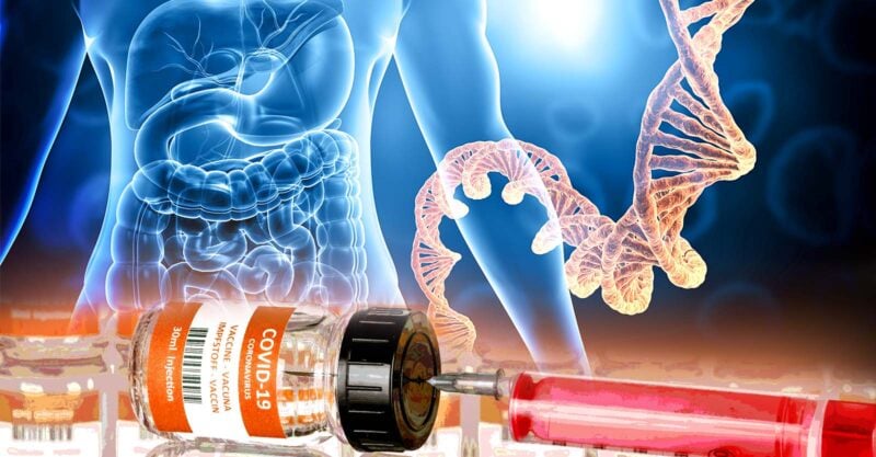 COVID vaccine DNA integration cancer