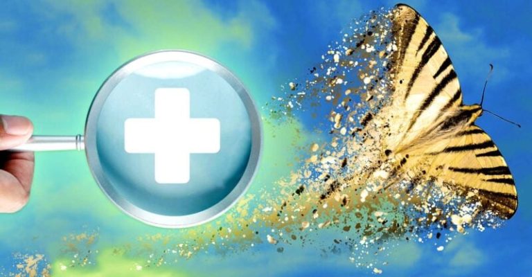 When the Smallest Lives Go Silent