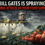 RNA crop technology and food safety concerns